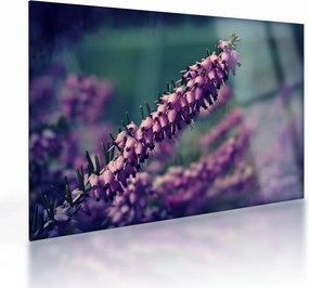 Tablou pe sticlă cu lavanda (70x50 cm)
