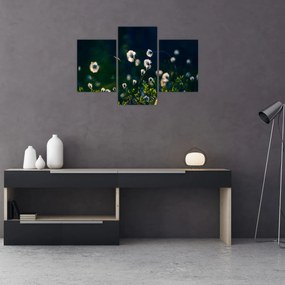 Tablou - Iarbă (90x60 cm)