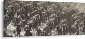 Tablou - Turmă de antilope sălbatice (120x50 cm)