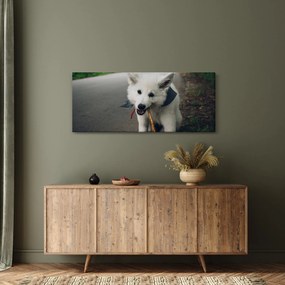 Tablou cu câinele alb (120x50 cm)