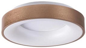 Rabalux 5053 - Plafonieră LED CARMELA LED/50W/230V
