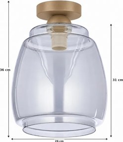 BRILAGI - Plafonieră LED R GLASS 1xE27/60W/230V Ø 26 cm bej/gri fumuriu