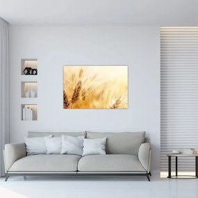 Tablou- detaliu cu (90x60 cm)