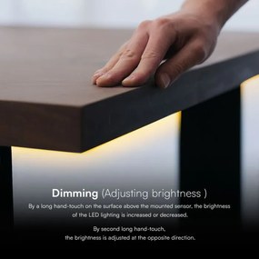 Intrerupator dimmer Touch ascuns, negru, V-tac