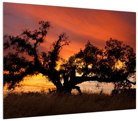 Tablou romantic cu copac (70x50 cm), în 40 de alte dimensiuni noi