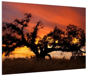 Tablou romantic cu copac (70x50 cm), în 40 de alte dimensiuni noi