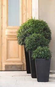 Ghiveci de flori din ratan cu aspect plastic - M