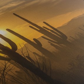 Tablou - Cactuși Saguaro (120x50 cm)