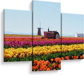Tablou cu farma de lalele (90x60 cm)