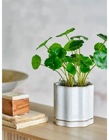 Ghiveci din gresie pentru ierburi aromatice ø 13 cm Argyle – Bloomingville