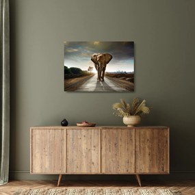 Tablou pe sticlă cu elefant (70x50 cm)