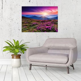 Tablou - Munte înflorit peisaj (70x50 cm)