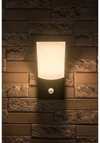 Rabalux 77172-LED Aplica exterior cu senzor TOLNA LED 10W 230V IP54