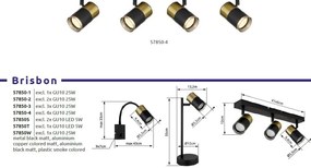 Lampadar cu 2 Spoturi directionabile BRISBON negru/cupru