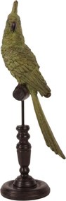 Statuetă decorativă din polirășină, verde, papagal pe suport, 35 x 13 x 10 cm, „Perico”