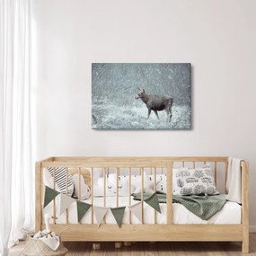 Tablou - Elan într-o pădure înzăpezită (90x60 cm)
