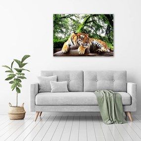 Tablou pe pânză Tiger pe stâncă