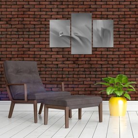 Tablou - Picătură pe floare,alb-negru (90x60 cm)