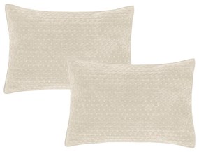 Fețe de pernă 2 buc. 50x75 cm Attica Velvet Embroidered – Bianca