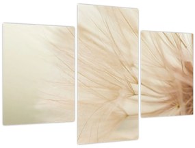 Tablou - Detaliu flori (90x60 cm)