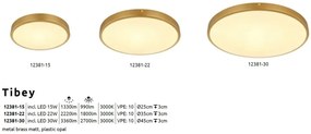 Plafoniera LED design modern Tibey alama 35cm