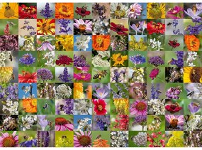 PUZZLE COLAJ CU ALBINE SI FLORI, 1000 PIESE - RAVENSBURGER (RVSPA17386)