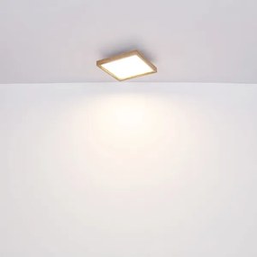 Globo 41595D1-LED Plafonieră CINDERELLA LED 12W 230V 30 cm 2700/4500/6500K