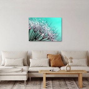 Tablou - planta cu rouă (70x50 cm)