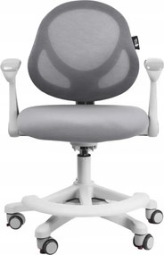 FlexGrow Junior YB1059 - Scaun Ergonomic pentru Copii, spatar reglabil, cotiere reglabile, inaltime reglabila, suport picioare ajustabil, Mesh, Gri