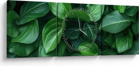 Tablou - Frunze verzi (cu ceas) (90x30 cm)