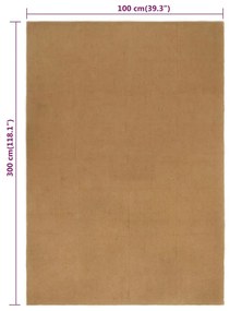Covor traversa dreptunghiular, 100x300 cm, iuta 100 x 300 cm