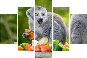 Tablou cu lemur (150x105 cm)