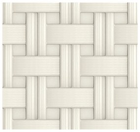 Toaletă pentru pisici Rattan gri, 42 x 50,5 x 40 cm