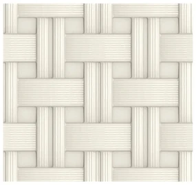 Toaletă pentru pisici Rattan gri, 42 x 50,5 x 40 cm
