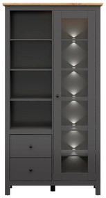 Vitrină Hesen REG1W2S/20/11 (cu iluminat LED) (grafit + Stejar artisan). 1062527