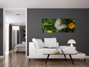 Tablou - fluture alb (120x50 cm)