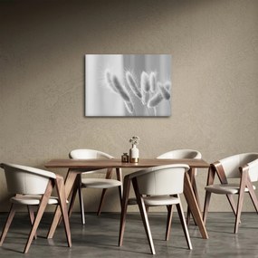 Tablou - Iarbă de coadă de iepure (70x50 cm)