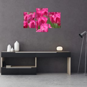 Tablou - Lalele roz (90x60 cm)
