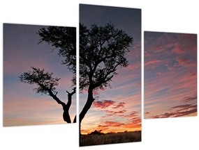 Tablou - Copac și nuanțe roșiatice (90x60 cm)