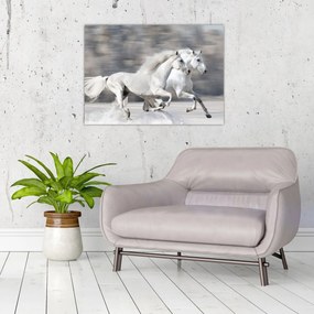 Tablou pe sticlă - Cai albi în timpul iernii (70x50 cm)
