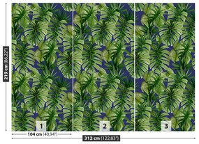 Fototapet tropical Monstera