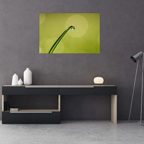 Tablou cu picătură de apă pe iarbă (90x60 cm)