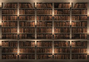 Fototapet - Biblioteca plină de cărți (254x184 cm)