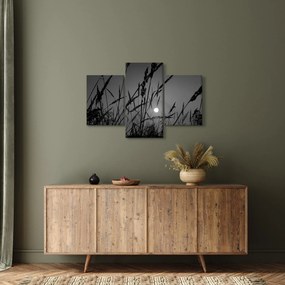 Tablou - Pajiște cu apus de soare (90x60 cm)