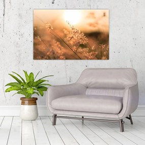 Tablou - Iarbă la soare (90x60 cm)