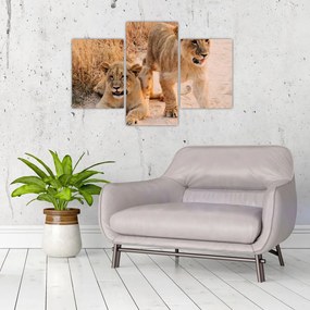 Tablou cu pui de leu (90x60 cm)