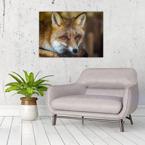 Tablou pe sticlă cu vulpe (70x50 cm)