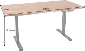Birou cu inaltime reglabila electrica Mammut 120cm, salcam