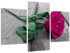 Tablou - Trandafir roz cu tulpina verde (90x60 cm)