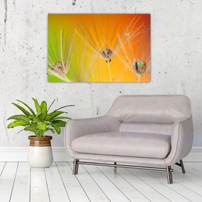 Tablou cu picături pe plantă (90x60 cm)